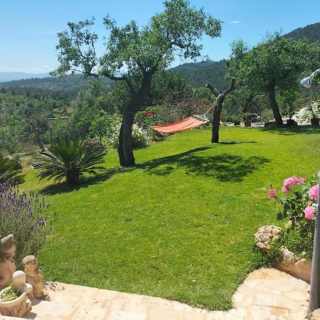 Villa Sa Teulera Etv7398 Alaró Exteriér fotografie